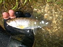 2006-05-10 009.JPG